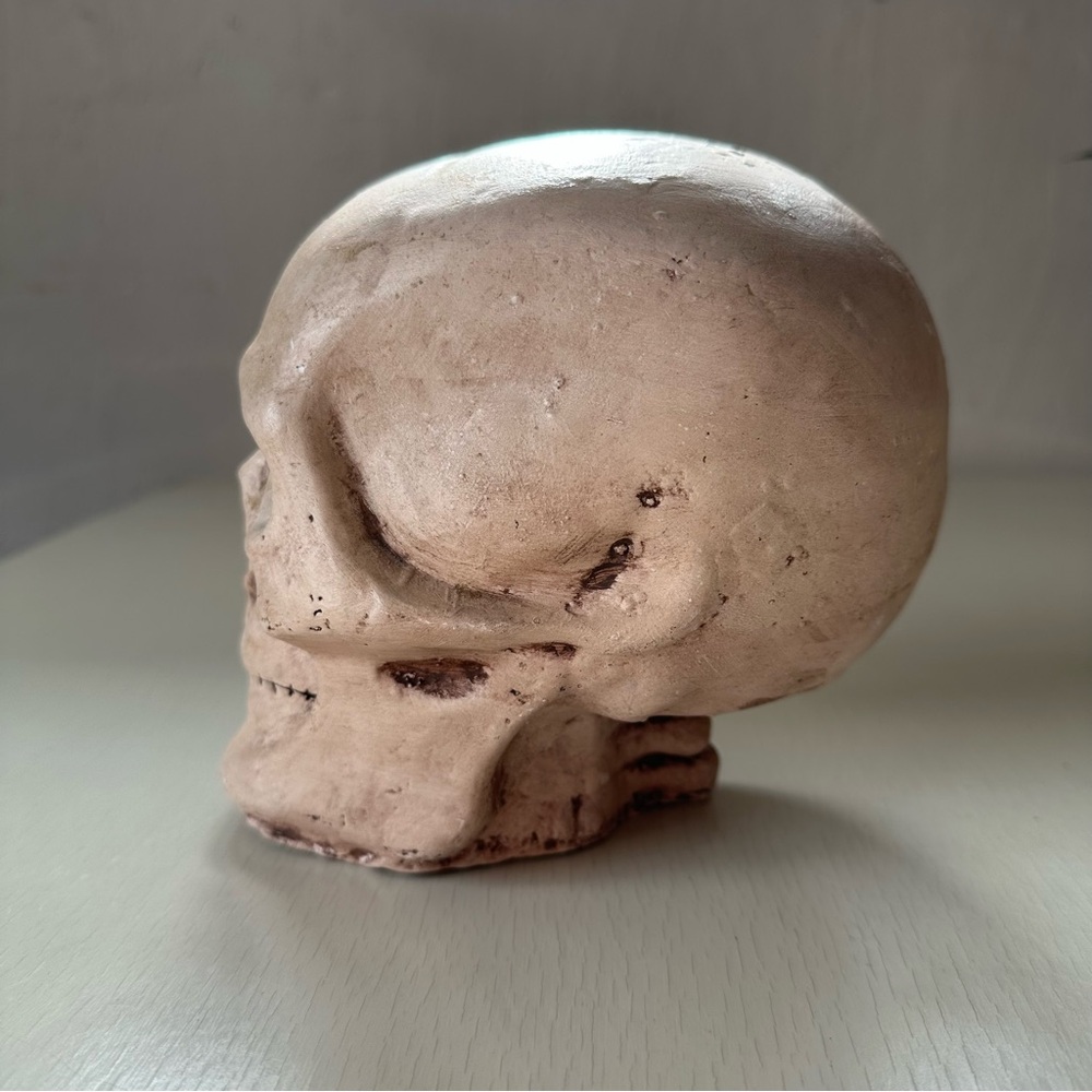 Memento Mori Ceramic Skull - Gothic Home Decor Goth Dark - Picture 6 of 9